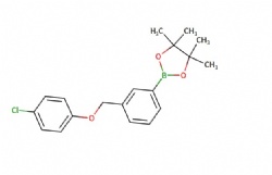2-(3-((4-chlorophenoxy)methyl)phenyl)-4,4,5,5-tetramethyl-1,3,2-dioxaborolane