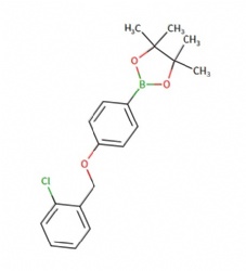 2-(4-((2-chlorobenzyl)oxy)phenyl)-4,4,5,5-tetramethyl-1,3,2-dioxaborolane