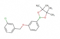 2-(3-((3-chlorobenzyl)oxy)phenyl)-4,4,5,5-tetramethyl-1,3,2-dioxaborolane