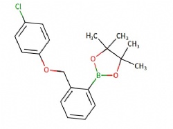 2-(2-((4-chlorophenoxy)methyl)phenyl)-4,4,5,5-tetramethyl-1,3,2-dioxaborolane