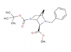 2-(tert-butyl) 6-methyl (1R,4R,6R)-5-benzyl-2,5-diazabicyclo[2.2.1]heptane-2,6-dicarboxylate