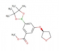 methyl (S)-3-((tetrahydrofuran-3-yl)oxy)-5-(4,4,5,5-tetramethyl-1,3,2-dioxaborolan-2-yl)benzoate