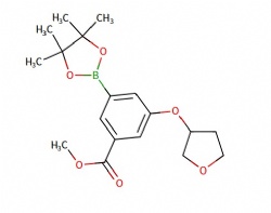 methyl 3-((tetrahydrofuran-3-yl)oxy)-5-(4,4,5,5-tetramethyl-1,3,2-dioxaborolan-2-yl)benzoate