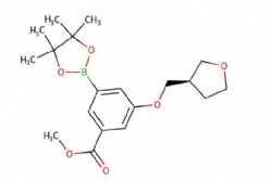 methyl (R)-3-((tetrahydrofuran-3-yl)methoxy)-5-(4,4,5,5-tetramethyl-1,3,2-dioxaborolan-2-yl)benzoate