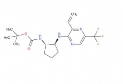 tert-butyl ((1S,2S)-2-((5-(trifluoromethyl)-3-vinylpyrazin-2-yl)amino)cyclopentyl)carbamate