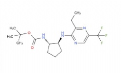 tert-butyl ((1S,2S)-2-((3-ethyl-5-(trifluoromethyl)pyrazin-2-yl)amino)cyclopentyl)carbamate