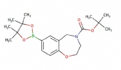 tert-butyl 7-(4,4,5,5-tetramethyl-1,3,2-dioxaborolan-2-yl)-2,3-dihydrobenzo[f][1,4]oxazepine-4(5H)-carboxylate