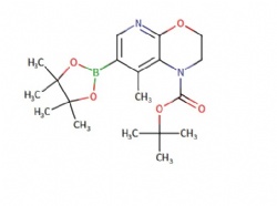 tert-butyl 8-methyl-7-(4,4,5,5-tetramethyl-1,3,2-dioxaborolan-2-yl)-2,3-dihydro-1H-pyrido[2,3-b][1,4]oxazine-1-carboxylate
