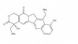(S)-4,11-diethyl-4,10-dihydroxy-1,12-dihydro-14H-pyrano[3',4':6,7]indolizino[1,2-b]quinoline-3,14(4H)-dione