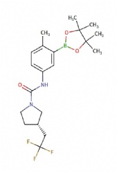 (S)-N-(4-methyl-3-(4,4,5,5-tetramethyl-1,3,2-dioxaborolan-2-yl)phenyl)-3-(2,2,2-trifluoroethyl)pyrrolidine-1-carboxamide