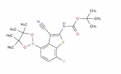 tert-butyl (3-cyano-7-fluoro-4-(4,4,5,5-tetramethyl-1,3,2-dioxaborolan-2-yl)benzo[b]thiophen-2-yl)carbamate