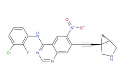 7-(((1R,5S)-3-azabicyclo[3.1.0]hexan-1-yl)ethynyl)-N-(3-chloro-2-fluorophenyl)-6-nitroquinazolin-4-amine