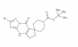 tert-butyl 2-bromo-8-oxo-4,5,6,8-tetrahydrospiro[cyclopenta[d][1,2,4]triazolo[1,5-a]pyrimidine-7,4'-piperidine]-1'-carboxylate