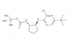 tert-butyl ((1S,2S)-2-((3-bromo-5-(trifluoromethyl)pyrazin-2-yl)amino)cyclopentyl)carbamate
