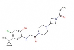 1-(3-(4-((4-chloro-2-hydroxy-5-(1-methylcyclopropyl)phenyl)glycyl)piperazin-1-yl)azetidin-1-yl)prop-2-en-1-one