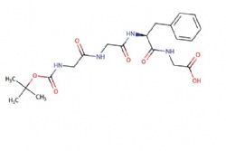 (tert-butoxycarbonyl)glycylglycyl-L-phenylalanylglycine