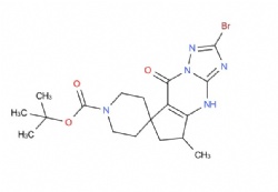 tert-butyl 2-bromo-5-methyl-8-oxo-4,5,6,8-tetrahydrospiro[cyclopenta[d][1,2,4]triazolo[1,5-a]pyrimidine-7,4'-piperidine]-1'-carboxylate